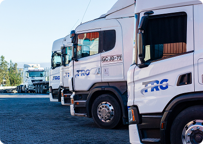 Seguridad y Bienestar de las Personas